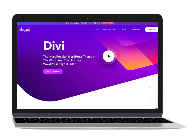 divi