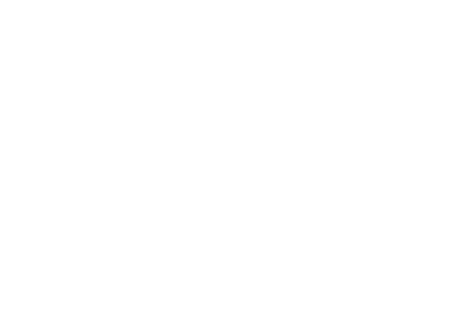 logouminjornada